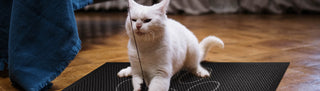 Glamats-Pets-Collection Banner-cat scratching mat